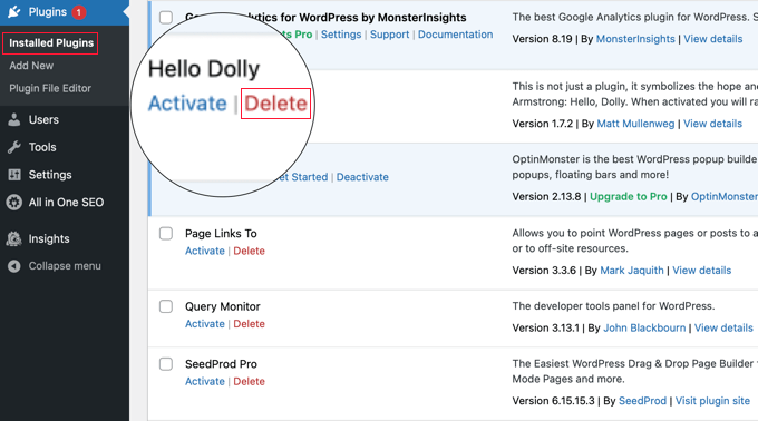 Remove Unnecessary Plugins
