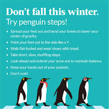 Best Practices After Penguin