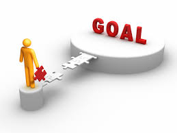 Goal Understanding