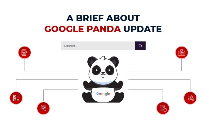 Google Introduced Panda