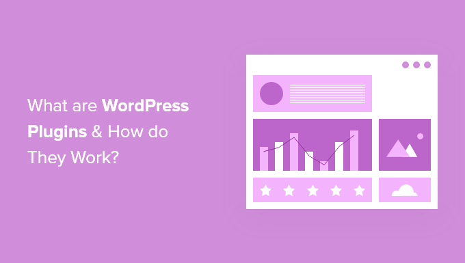 How WordPress Plugins Work and Improve Website Features
