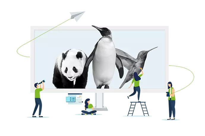 Penguin Changed SEO Practices