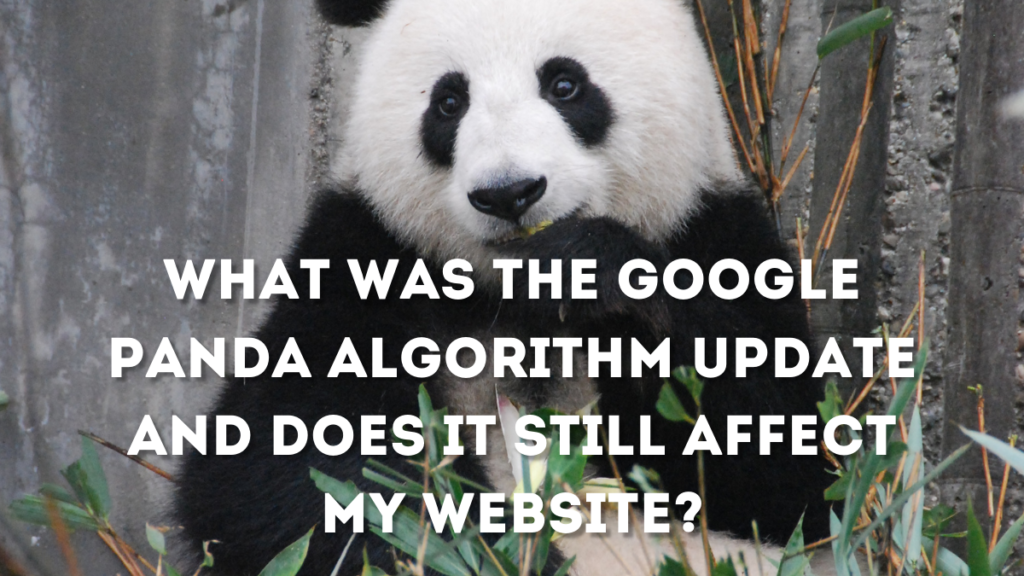 Website May Be Affected by Panda