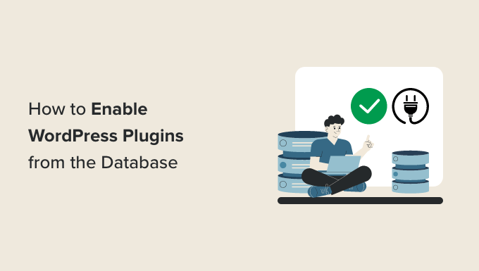 What Happens When You Activate a Plugin