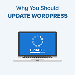 Keep WordPress Updated