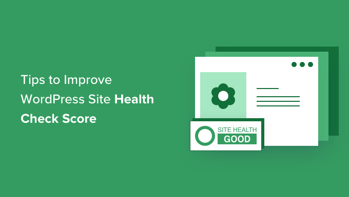 Understanding WordPress Site Health Issues