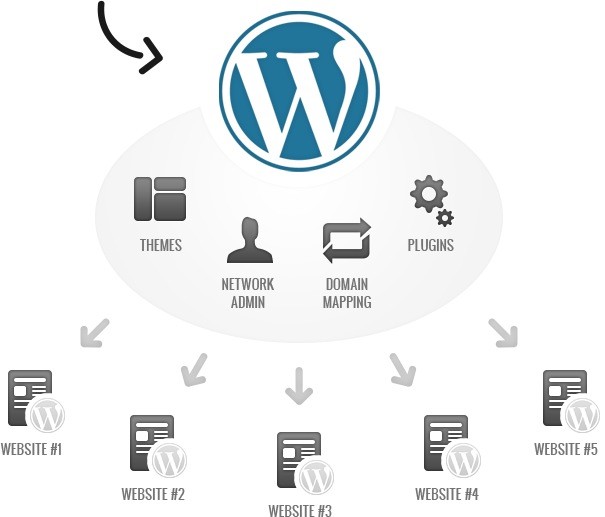 WordPress Multisite Support