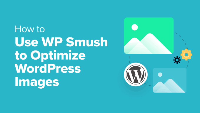 What Is WP Smush Pro